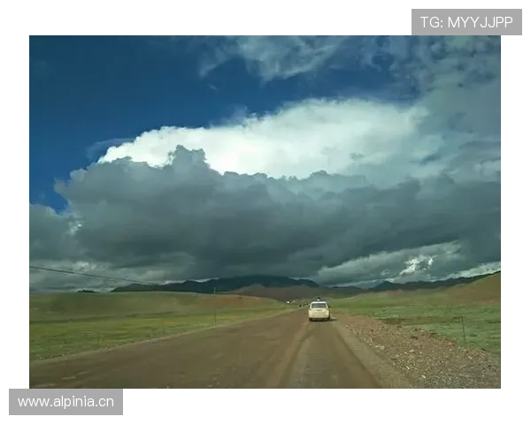 云开的网址：不同云服务平台的访问网址比较与选择建议