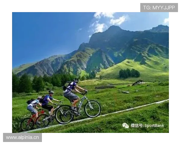 开云体育备用平台运营策略详解助力平台稳定发展和用户粘性增强