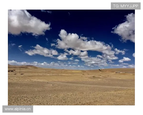 开云手机版保证账户信息安全采用先进加密技术保障用户个人隐私与资金安全