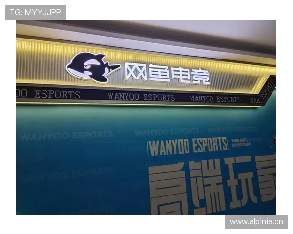 开云电竞开户下载官网官方推荐，优质电竞平台助你畅享极致体验