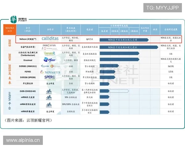 开云滚球盘最新玩法解析助你轻松掌握投注技巧提升盈利水平 开云滚球盘最新玩法解析助你轻松掌握投注技巧提升盈利水平