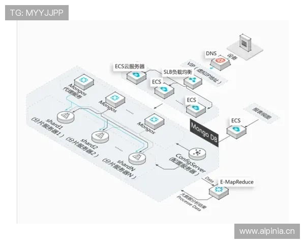 云开在线地址最新入口，便捷快速访问无需等待