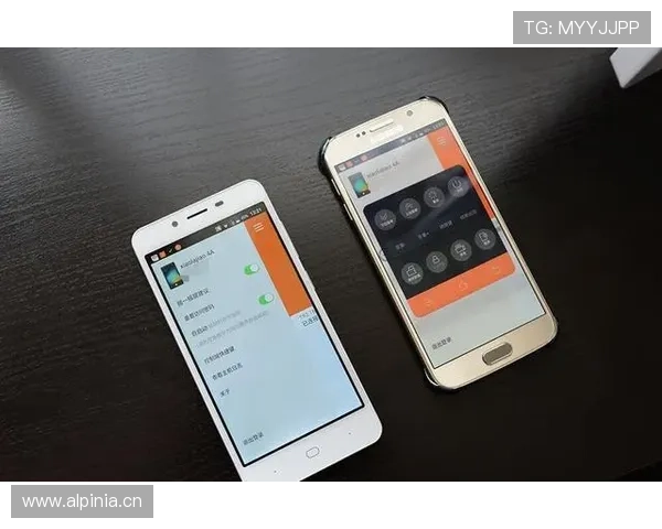 开云在线登录app介绍：常见登录问题及解决方案，帮助用户排除使用中的困扰